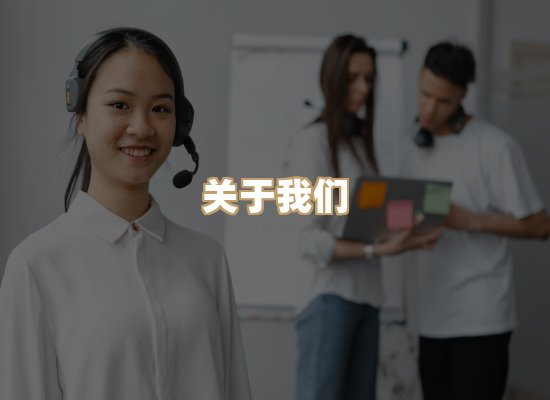 关于至岚排版网